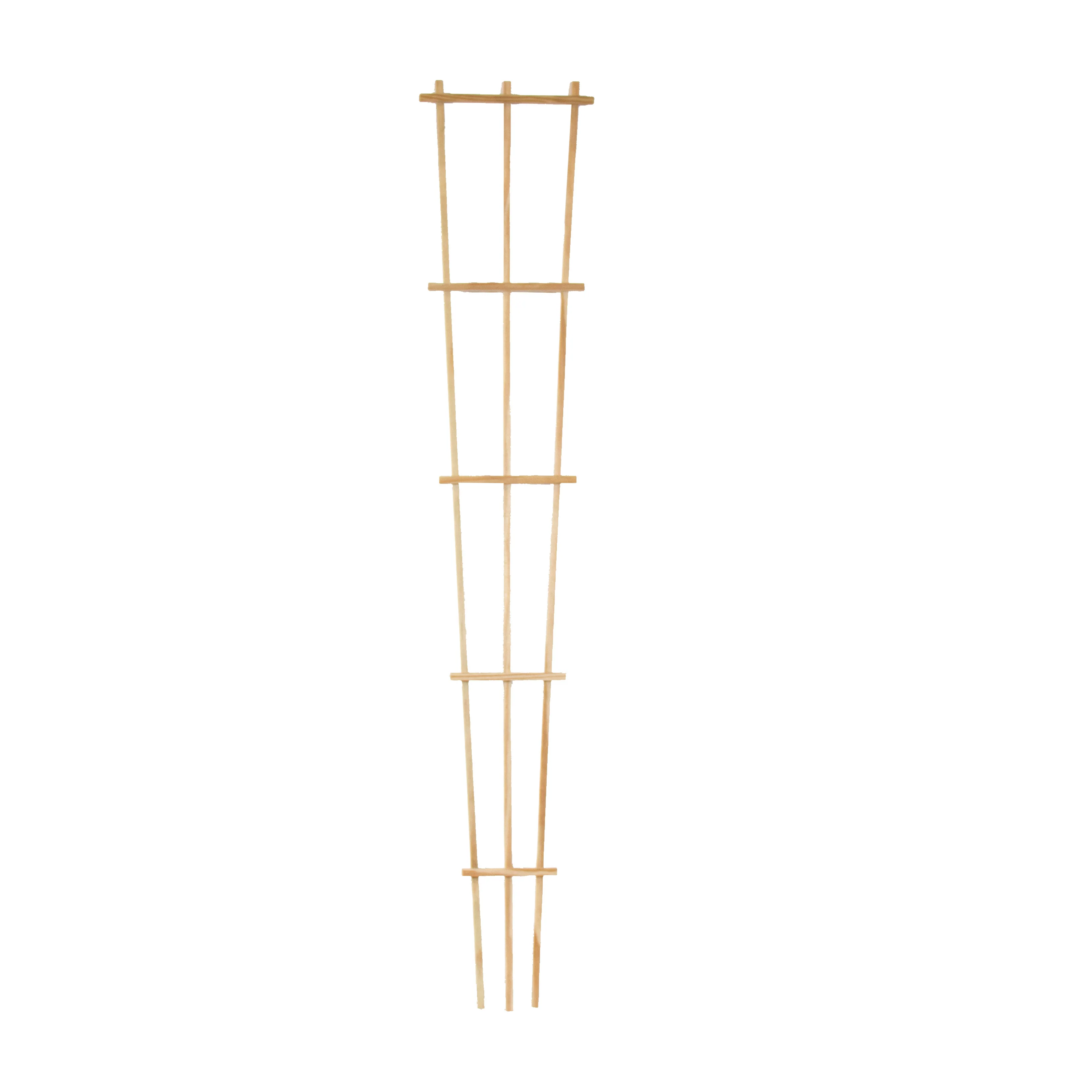 Pressure-Treated Wood Training Trellis - Image 4