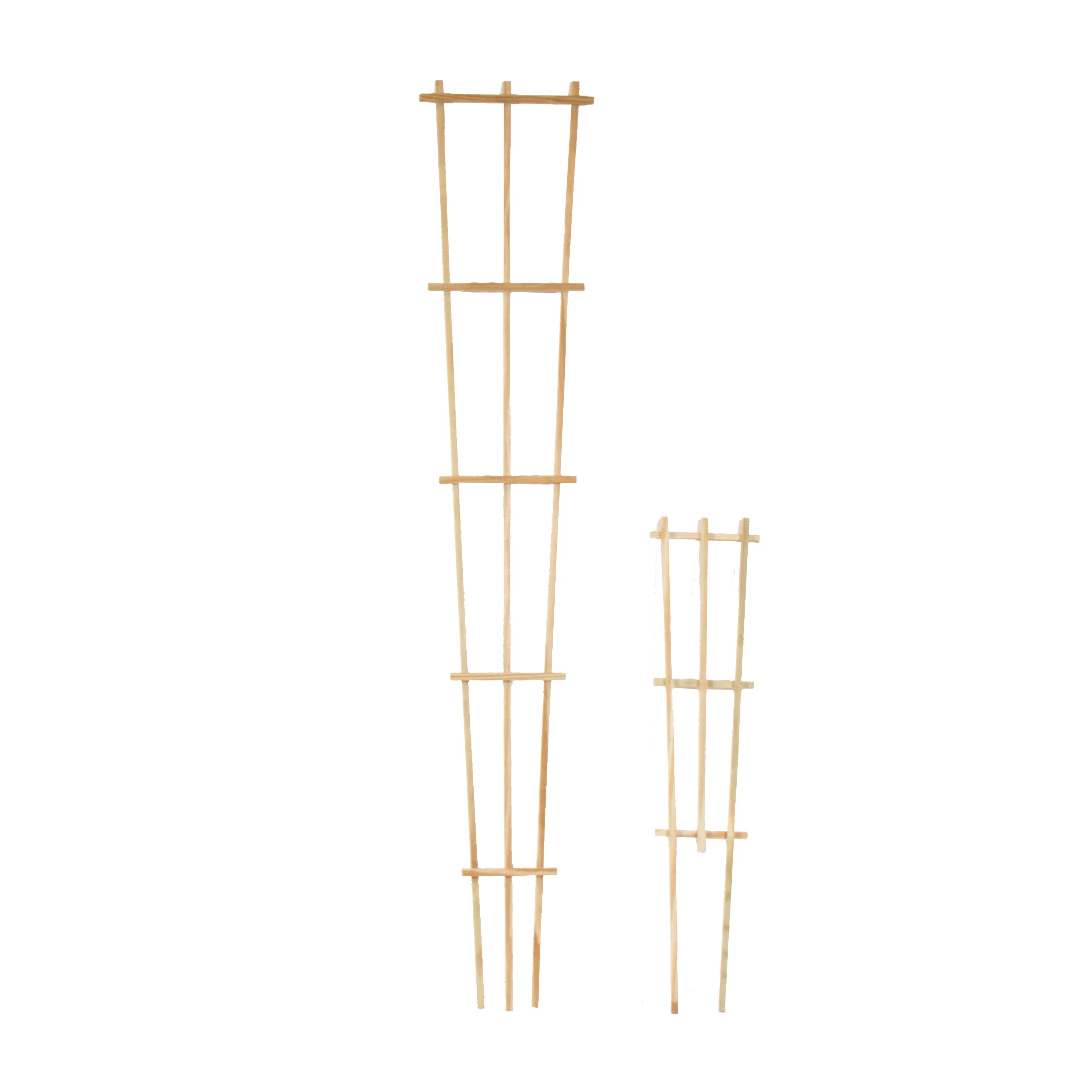 Pressure-Treated Wood Training Trellis - Image 5
