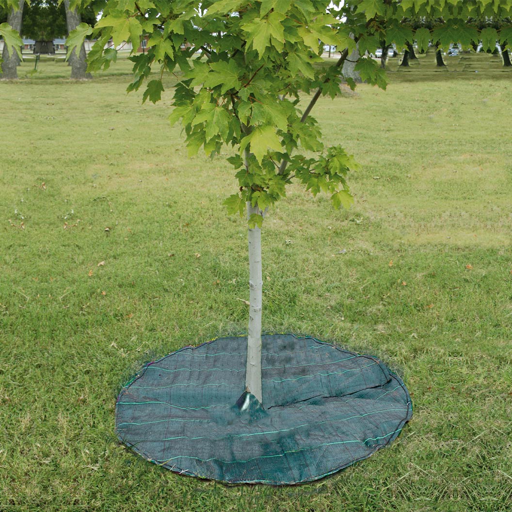 Dewitt Circle Tree Mat - Image 2