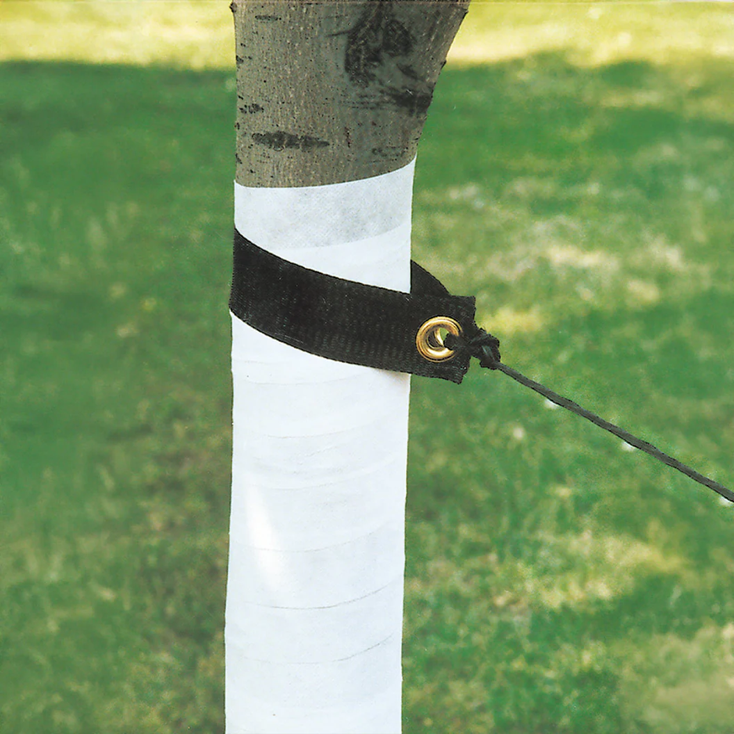 Dewitt Tree Wrap - Image 4