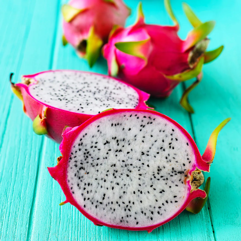 Dragon Fruit Cactus Plant - Image 5