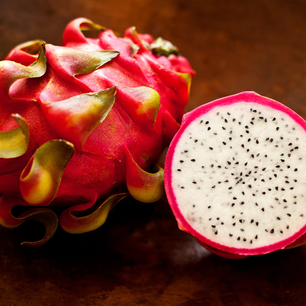 Dragon Fruit Cactus Plant - USDA Organic - Image 3