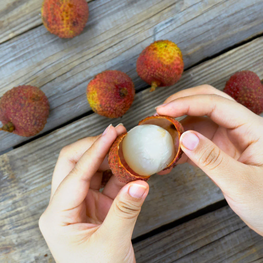 Emperor Lychee Tree - Image 3