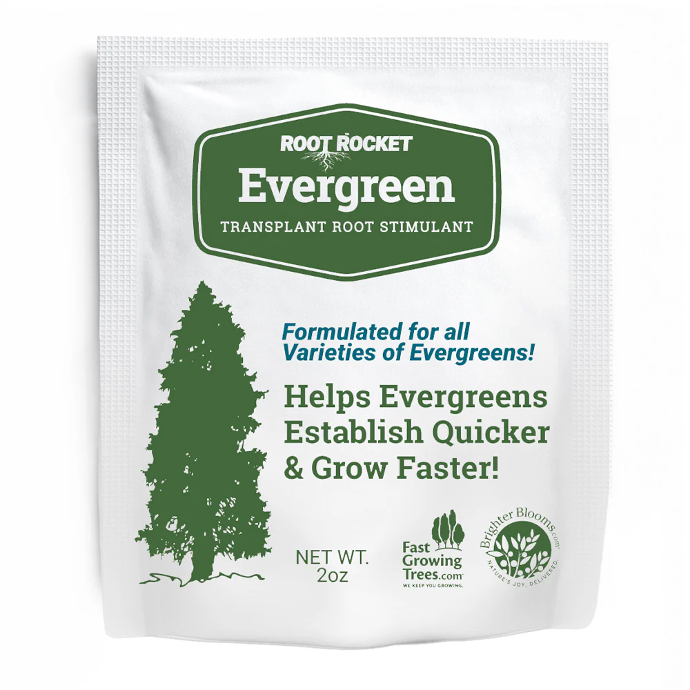 Root Rocket® Evergreen Rocket - Image 2