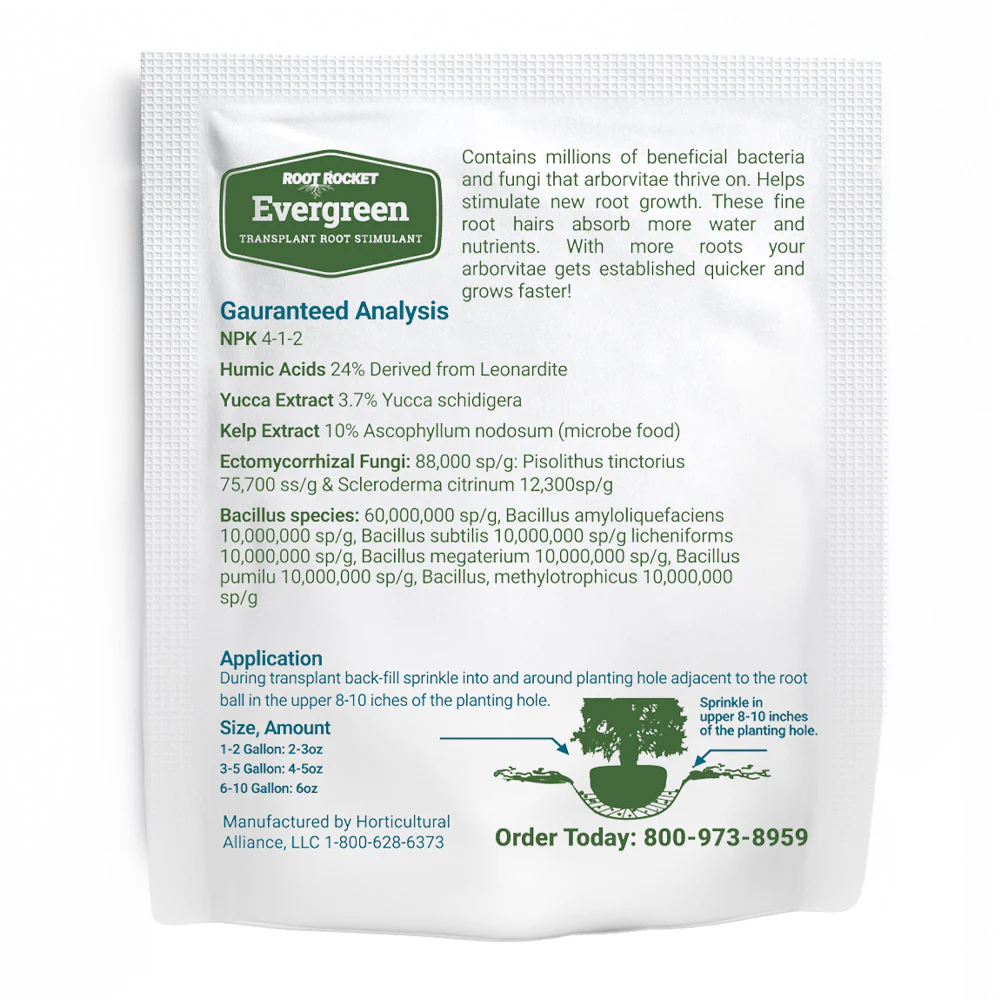 Root Rocket® Evergreen Rocket - Image 3