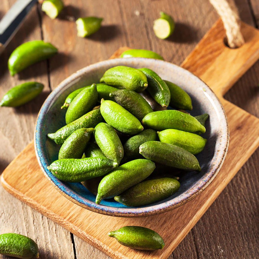 Australian Finger Lime Tree - Image 5