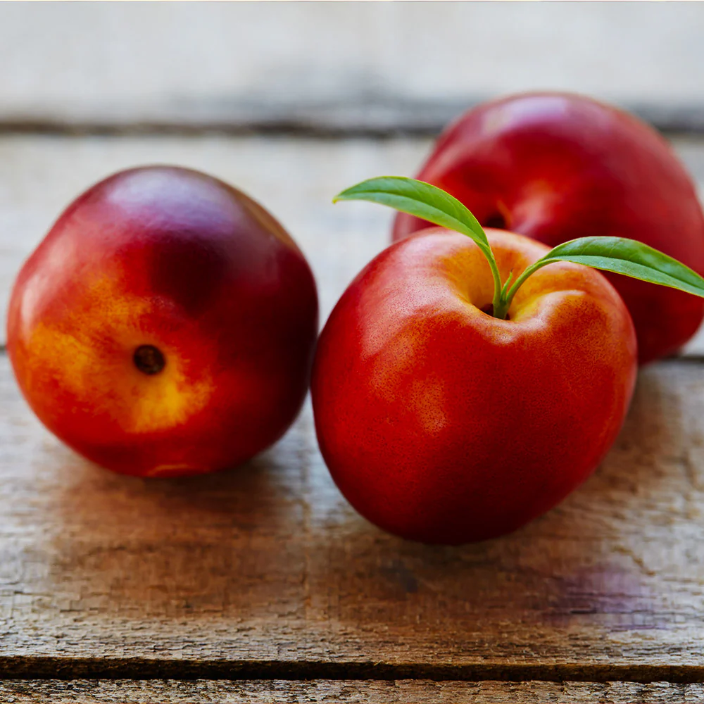Flavortop Nectarine Tree - Image 3