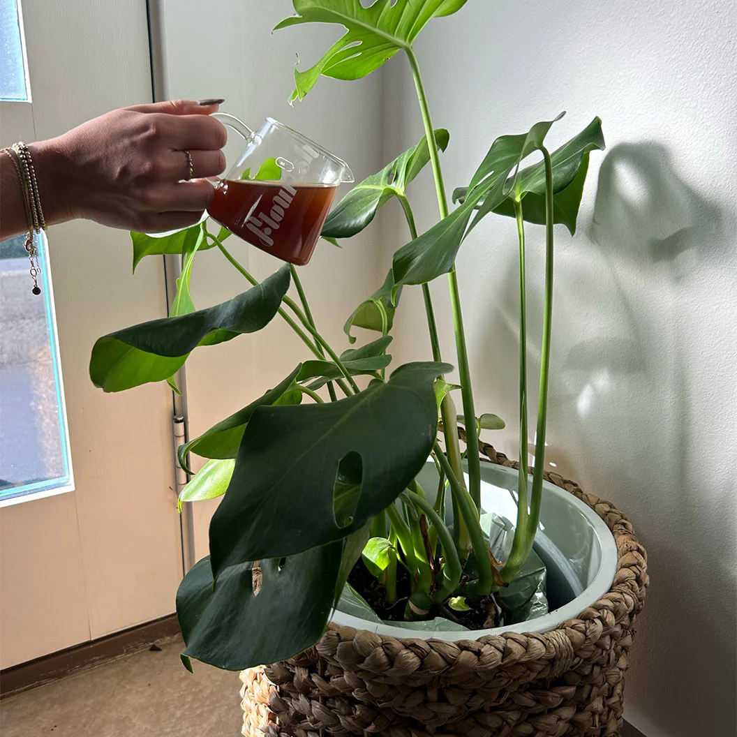 Flourish Organic Plant Food - Image 5