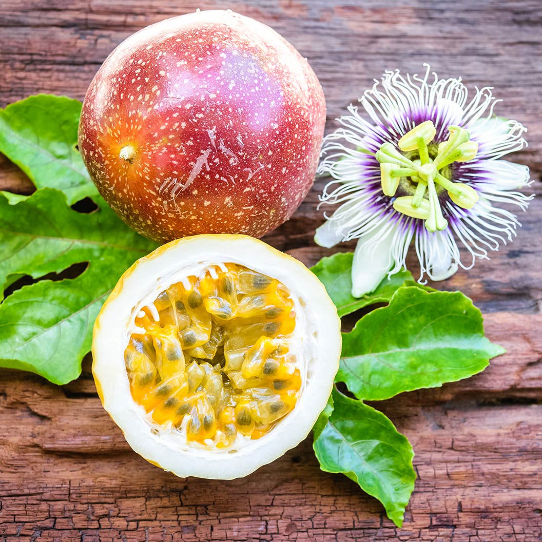 Frederick Passion Fruit Vine - Image 3