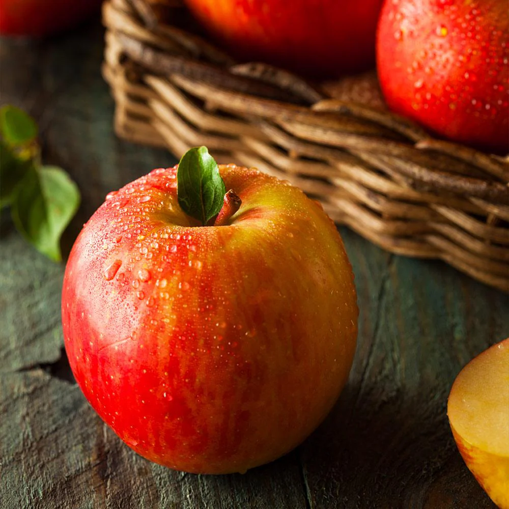 Fuji Apple Tree - Image 2