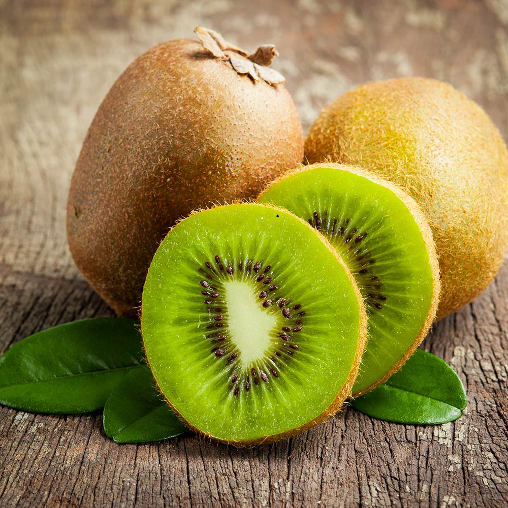 2-in-1 Fuzzy Kiwi Vine - Image 2