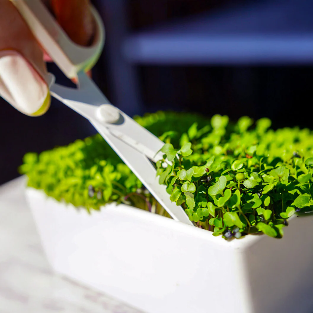 Gardenuity® Microgreens Desktop Garden Starter Kit - Image 3