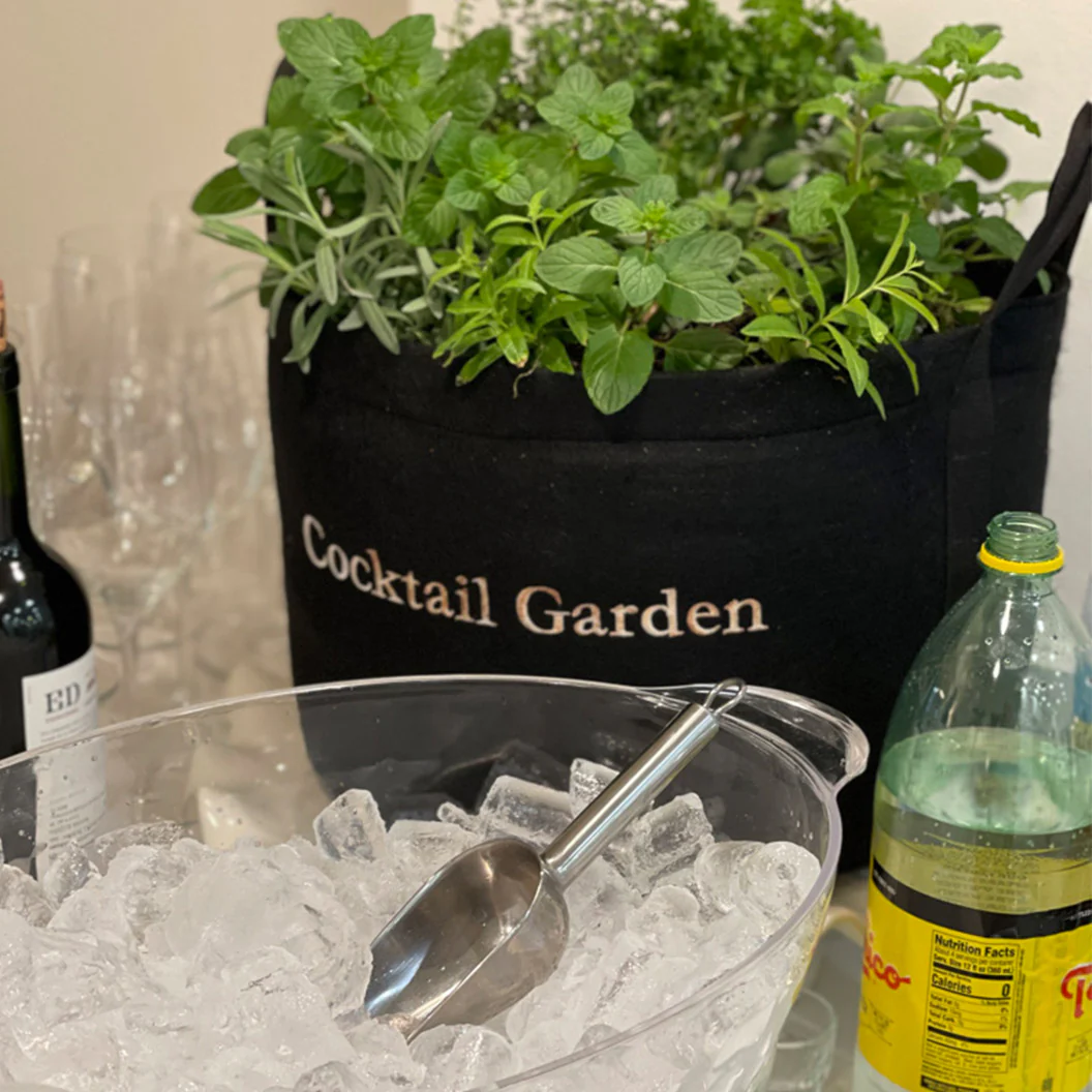 Gardenuity® Patio Cocktail Herb Garden Kit - Image 3