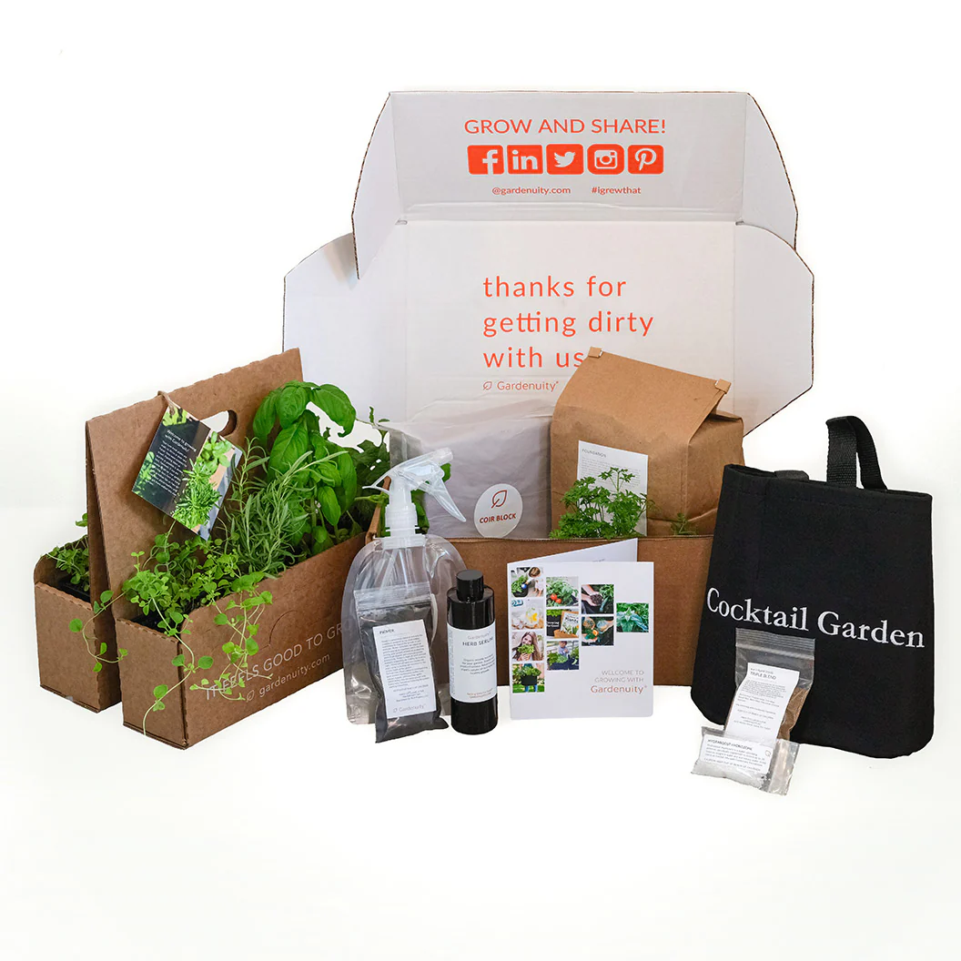 Gardenuity® Patio Cocktail Herb Garden Kit - Image 4