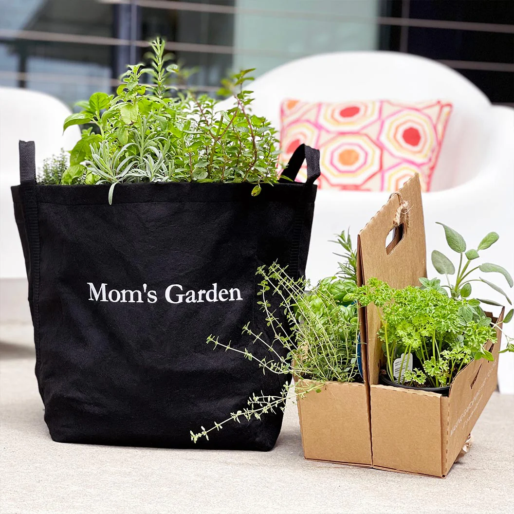 Gardenuity® Patio Garden for Mom - Image 2