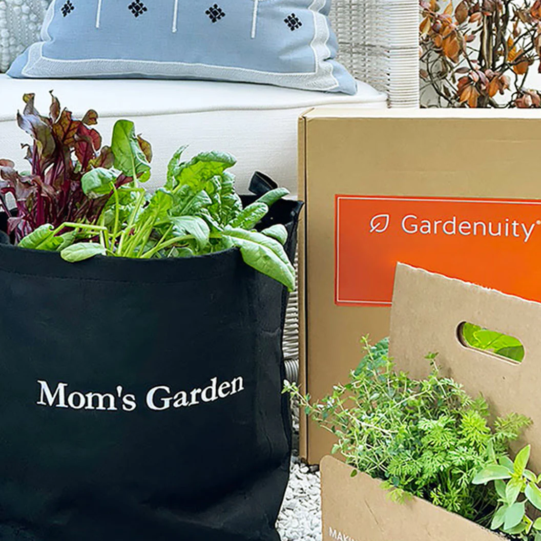 Gardenuity® Patio Garden for Mom - Image 3