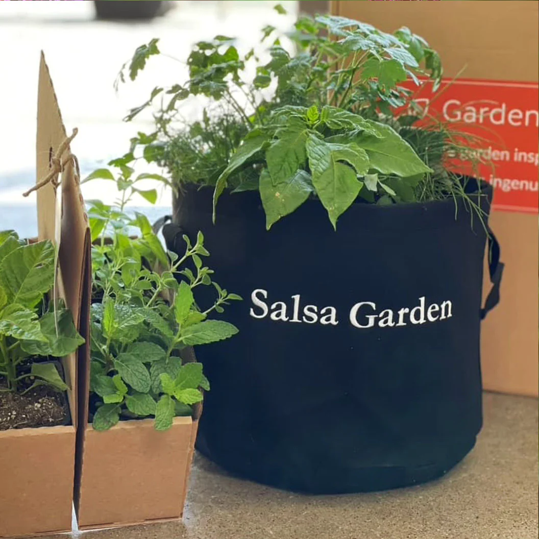 Gardenuity® Salsa Patio Garden - Image 2