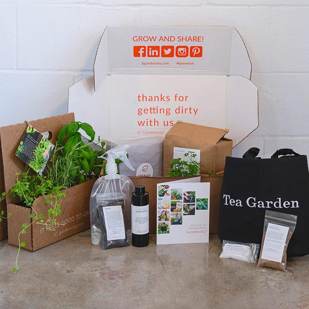 Gardenuity® Tea Garden Kit with Seasonal Herb Plants - Image 2