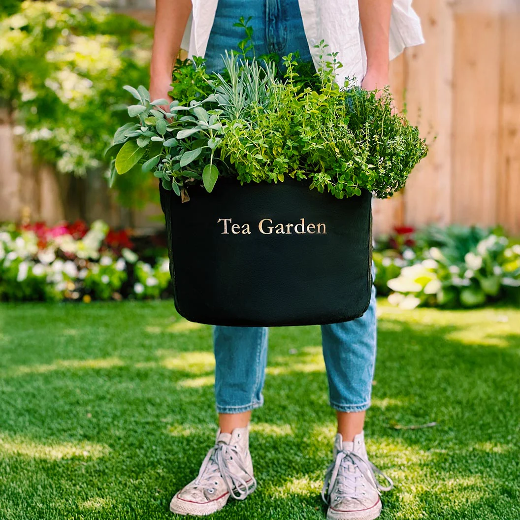 Gardenuity® Tea Garden Kit with Seasonal Herb Plants - Image 4