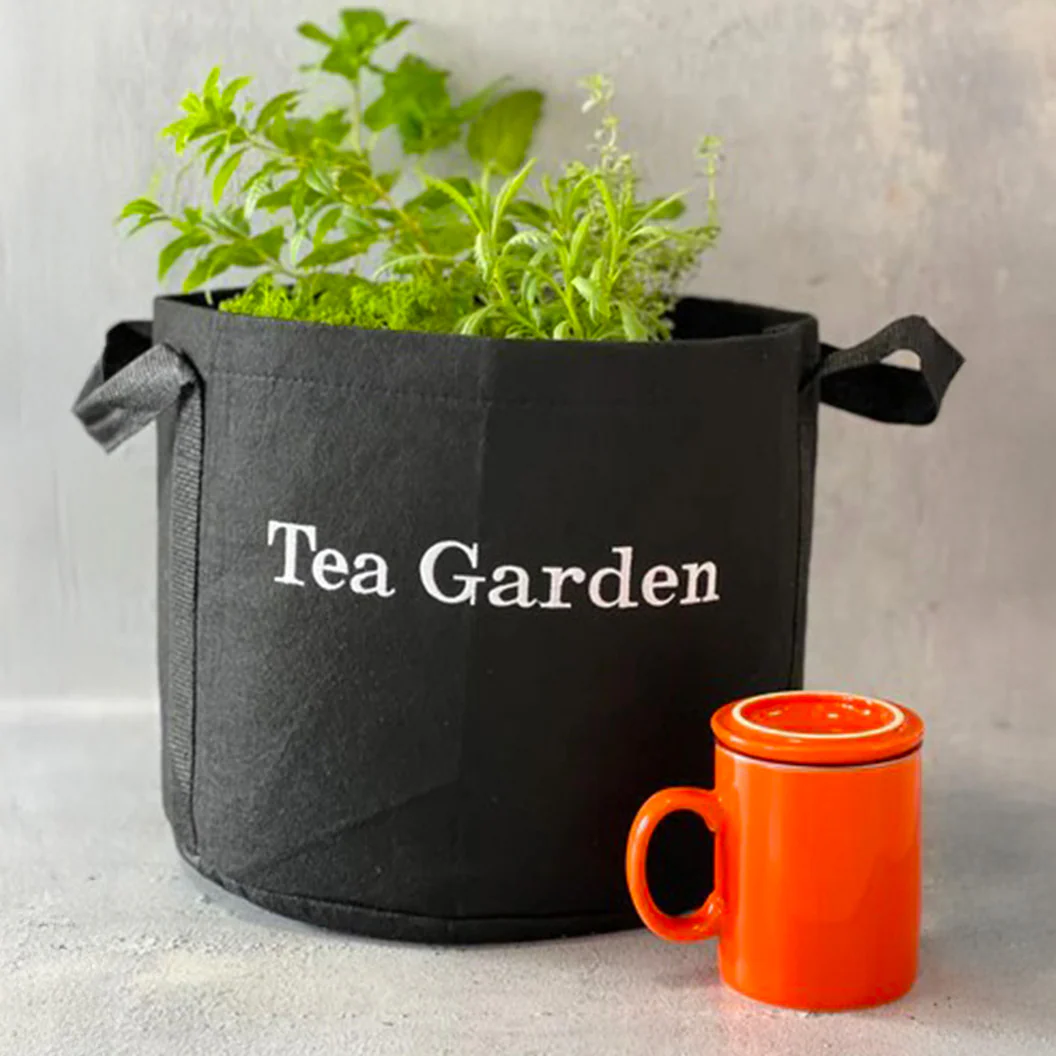 Gardenuity® Tea Garden Kit with Tea Brewer Mug - Image 2