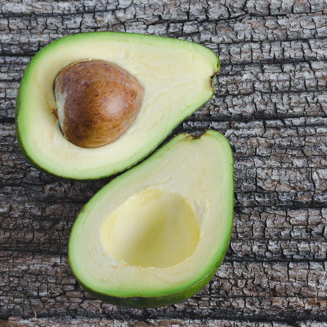 Gem Avocado Tree - Image 3