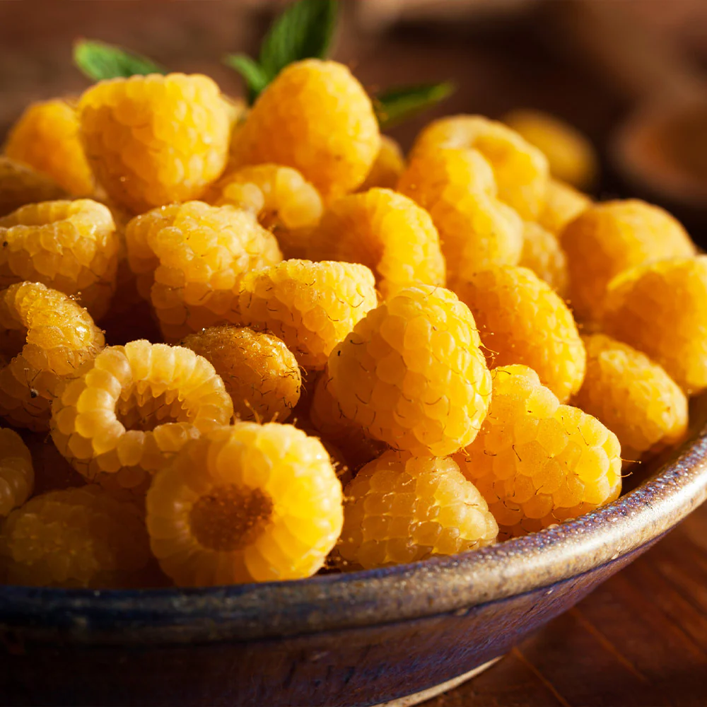 Golden Raspberry Bush - Image 4