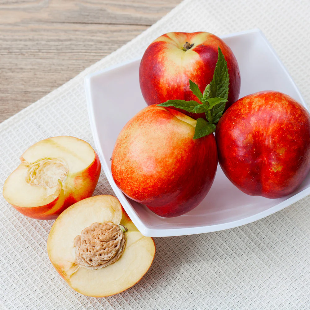 Goldmine Nectarine Tree - Image 2