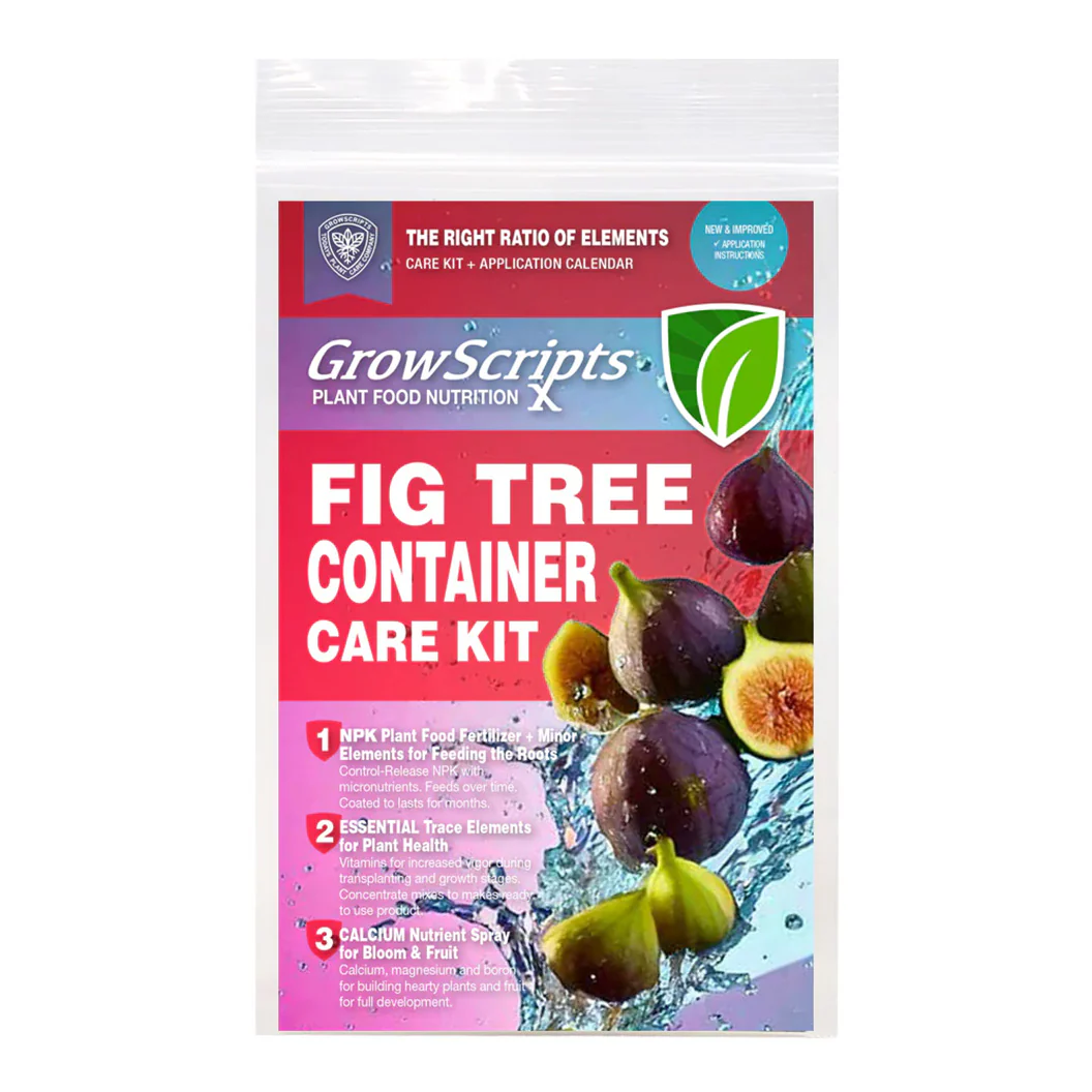 Growscripts Fig Tree Container Care Kit - Image 2
