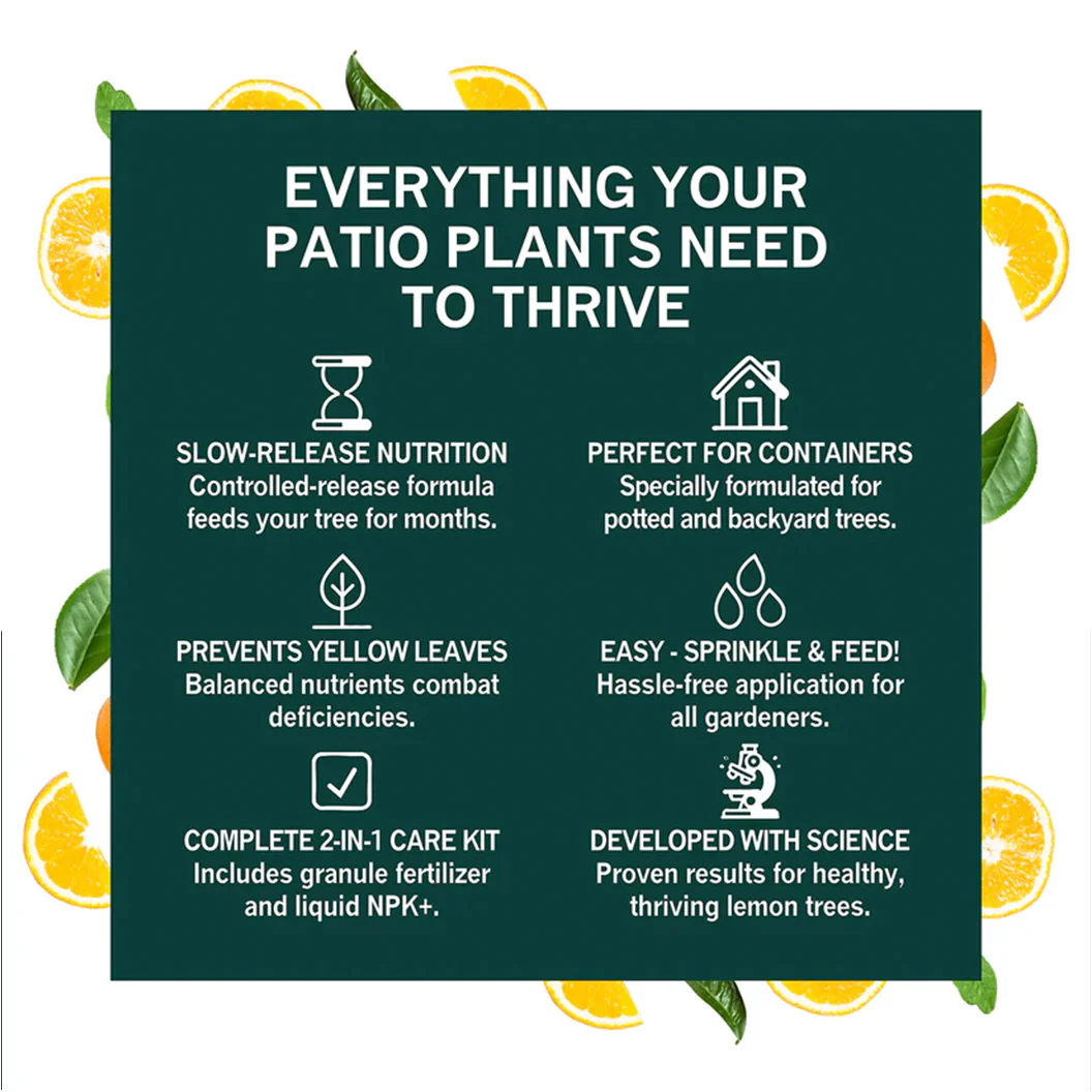 Growscripts House & Patio Plant Care Kit - Image 6