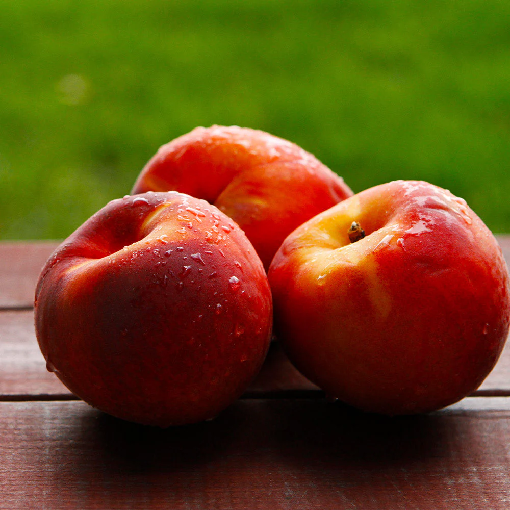Harko Nectarine Tree - Image 3