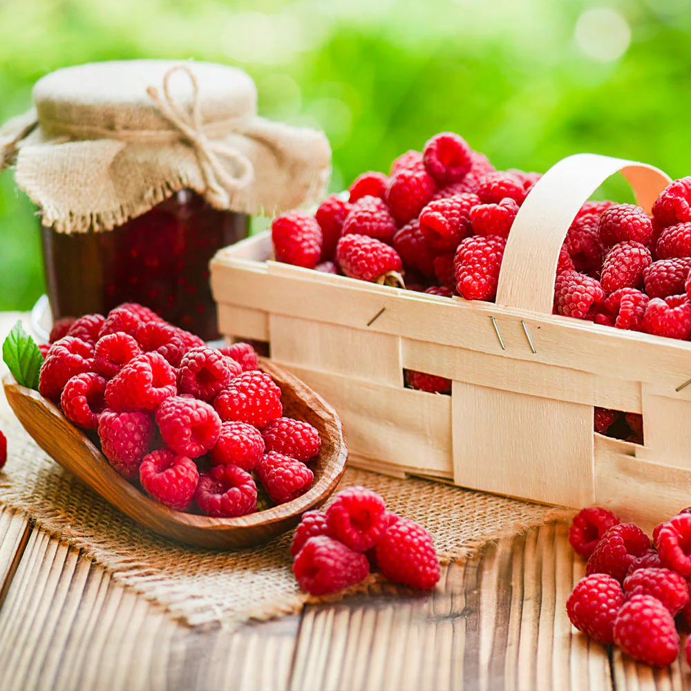 Heritage Everbearing Raspberry Bush - Image 4
