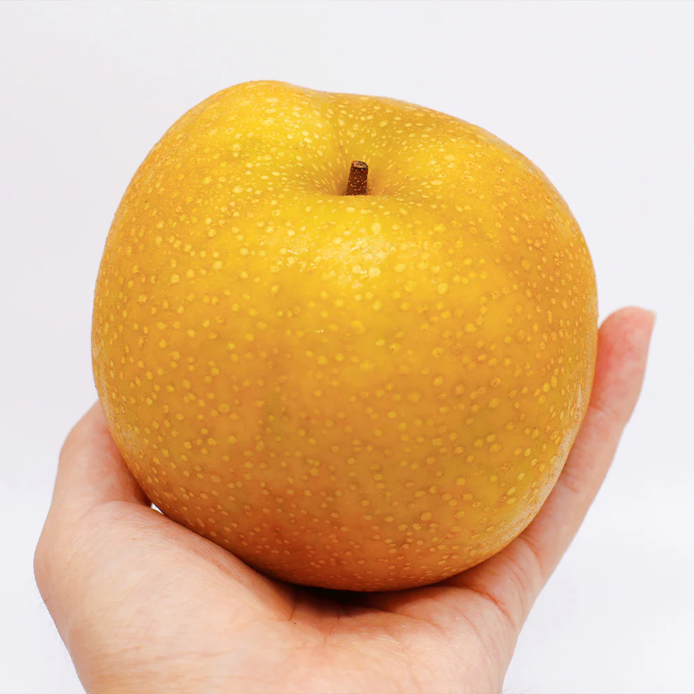 Hosui Asian Pear Tree - Image 6