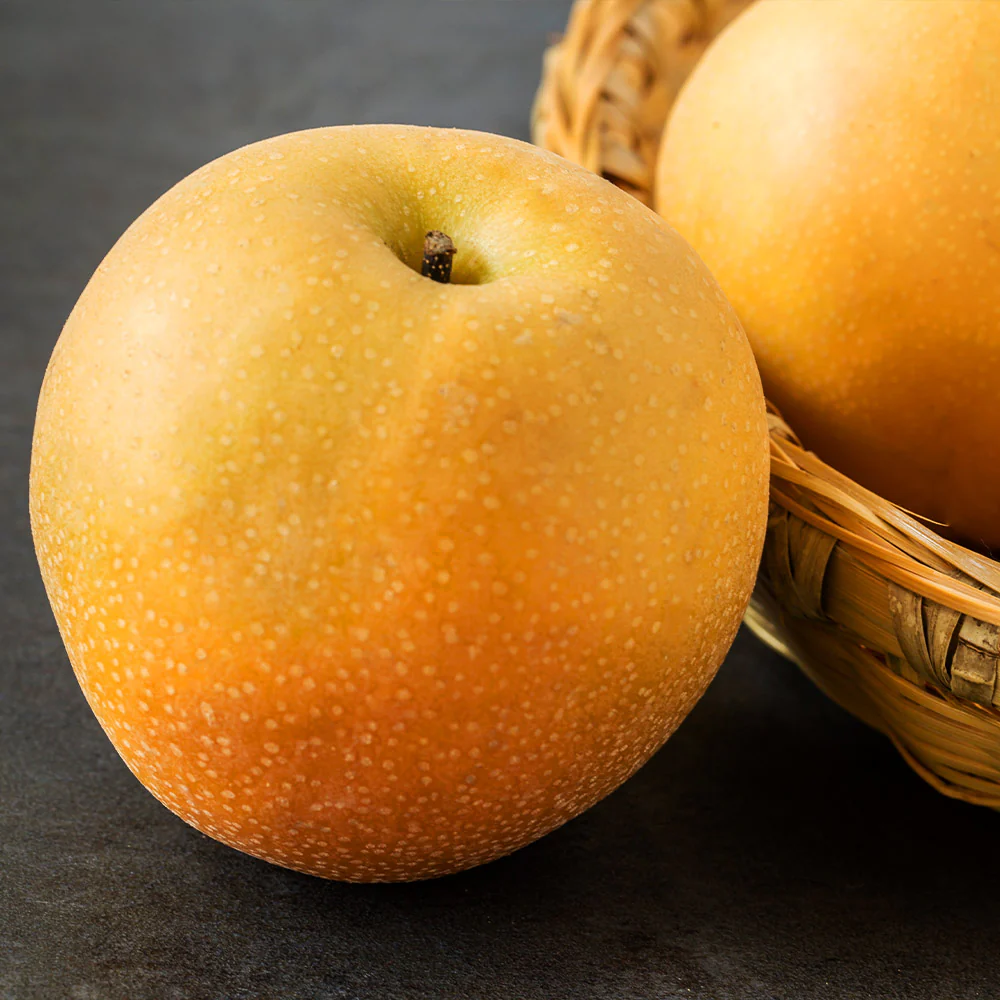 Hosui Asian Pear Tree - Image 3