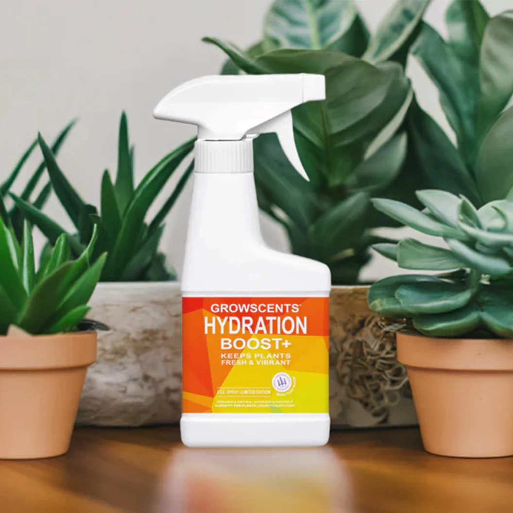 Hydration Boost + - Image 2