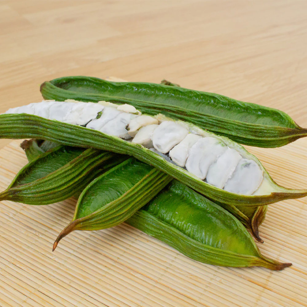 Ice Cream Bean Tree - Image 2