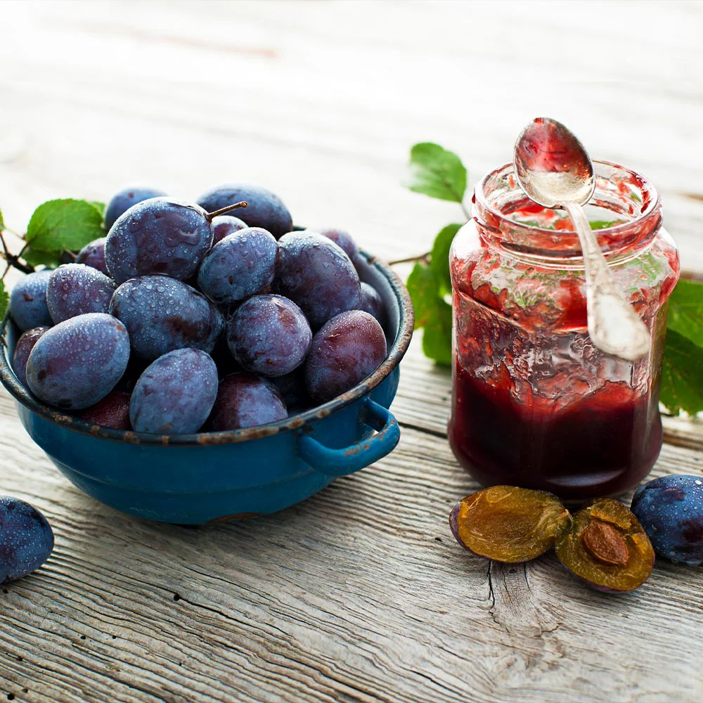 Italian Plum Tree - Image 6