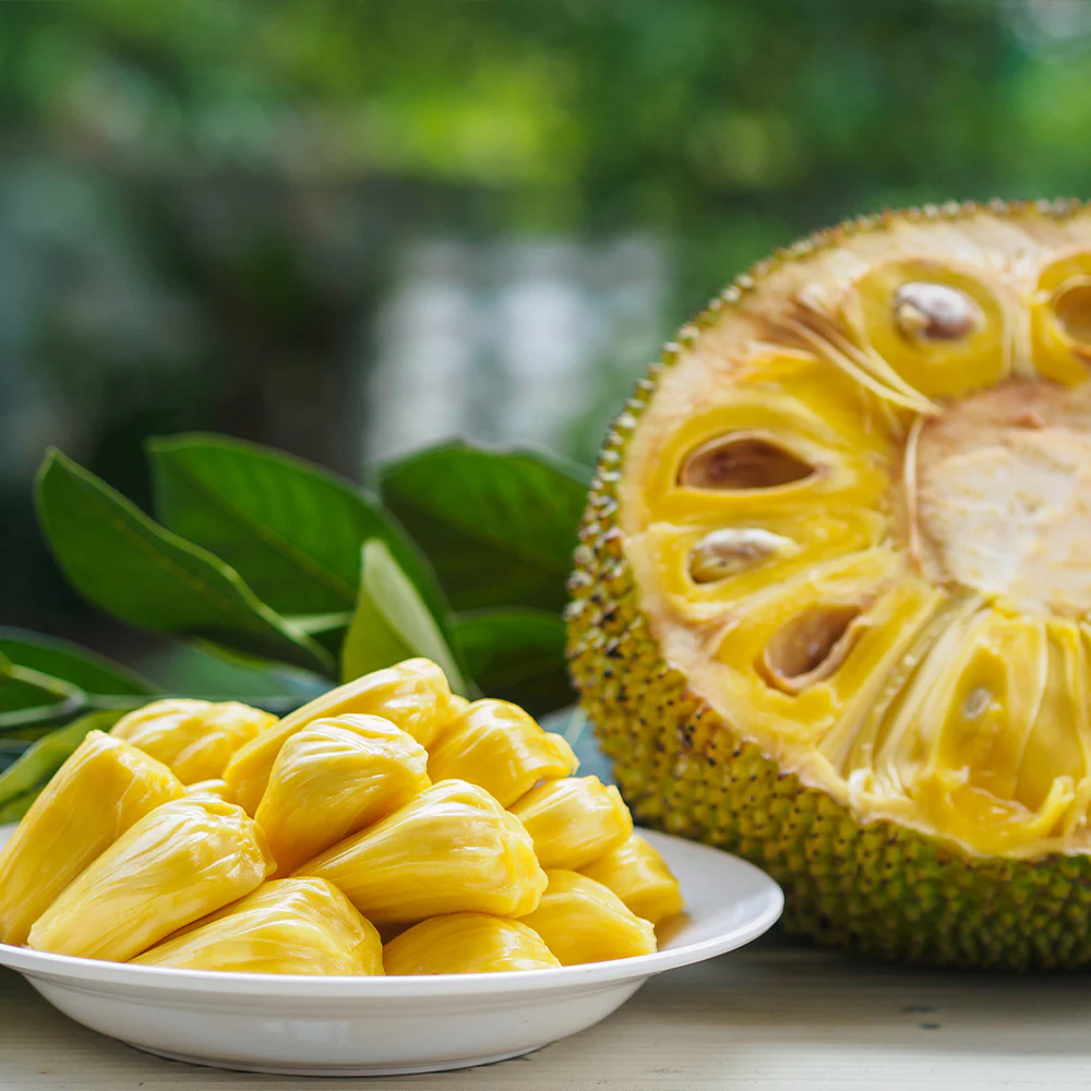 Jackfruit Tree - Image 5