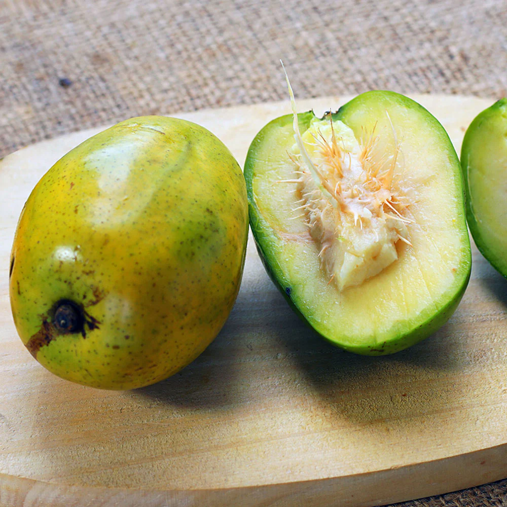 June Plum Tree - Image 3
