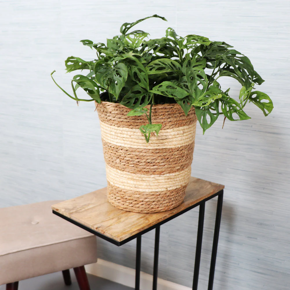 Striped Jute Woven Basket - Image 2