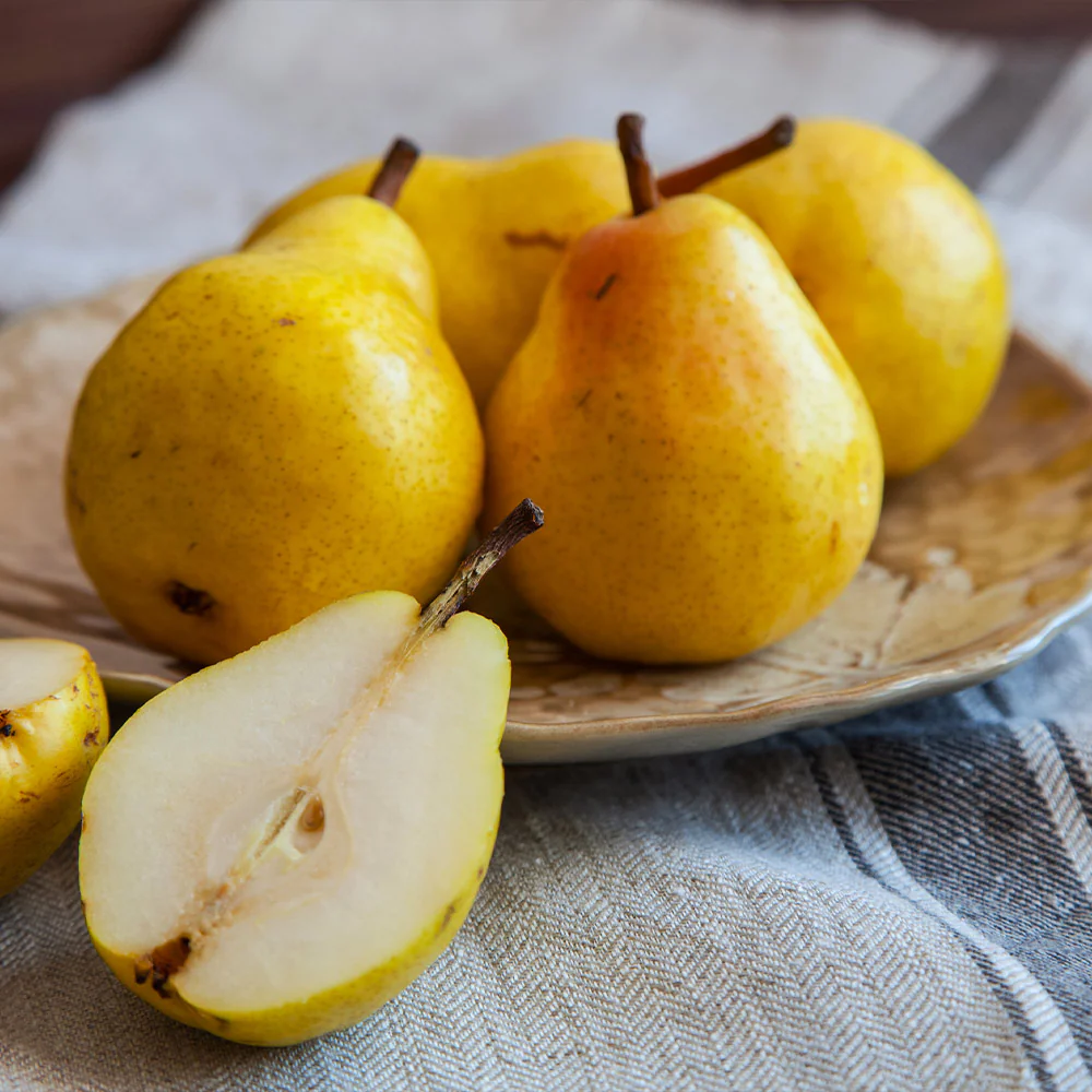 Kieffer Pear Tree - Image 5