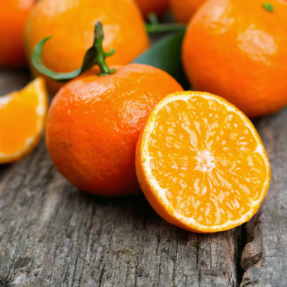 Kishu Mandarin Tree - Image 4