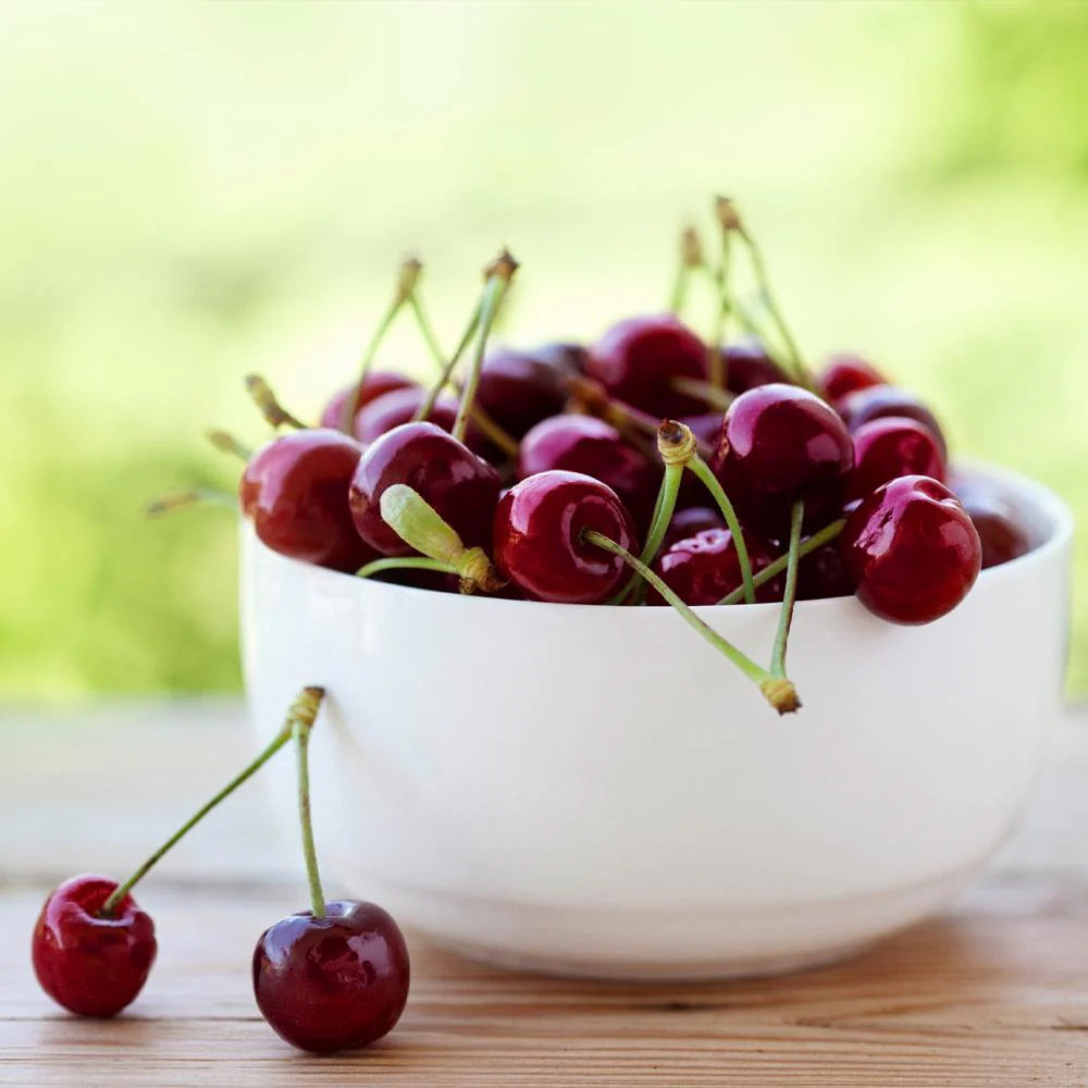 Lapins Cherry Tree - Image 4