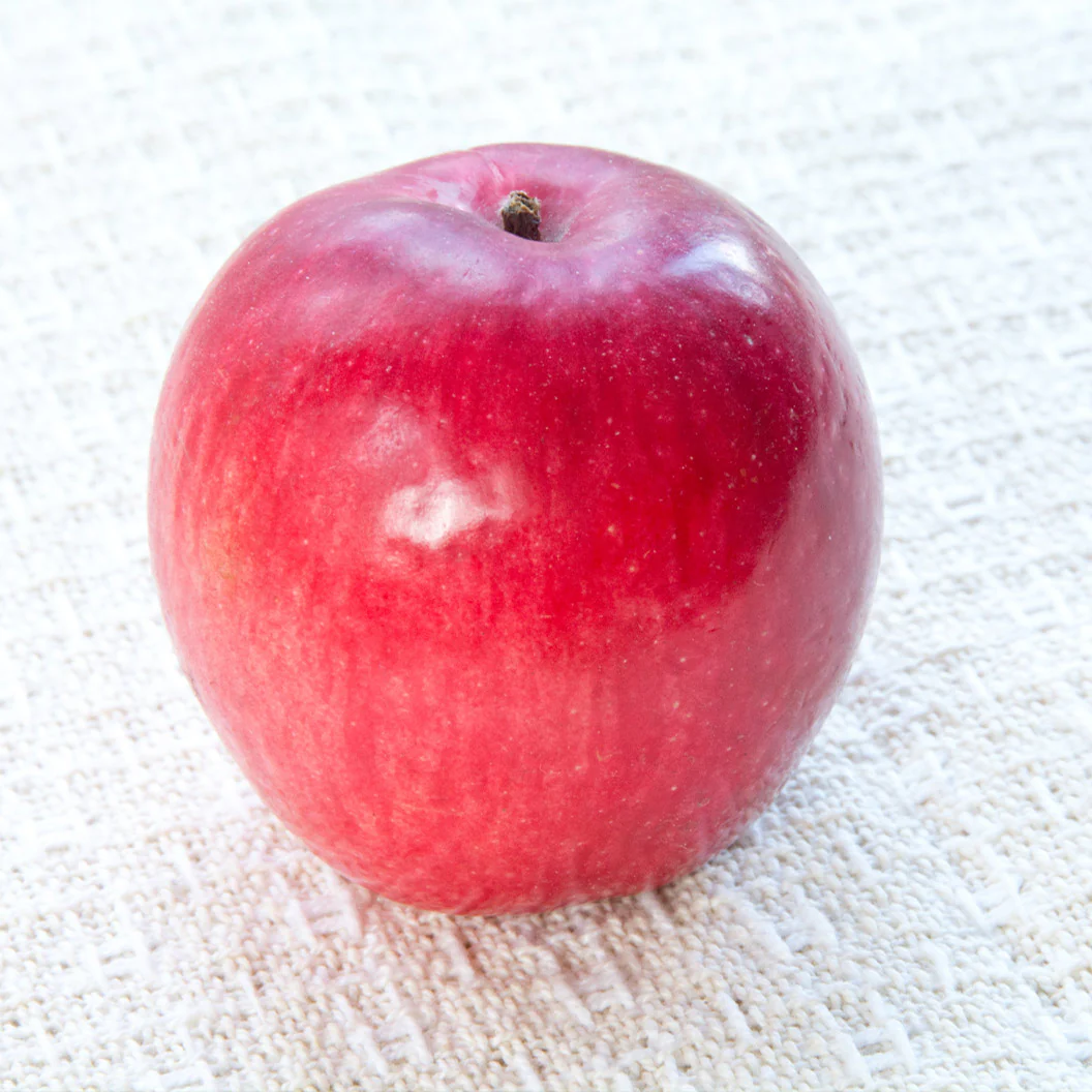 Liberty Apple Tree - Image 3