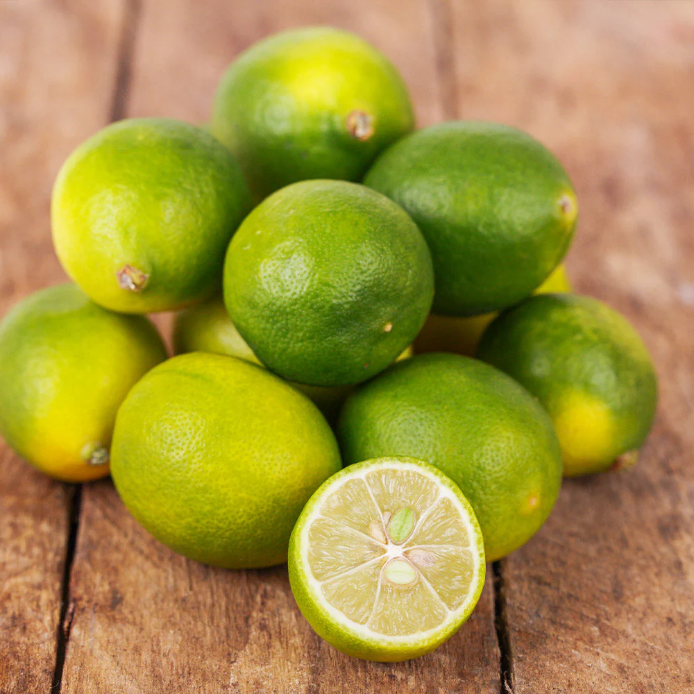 Limequat Tree - Image 3