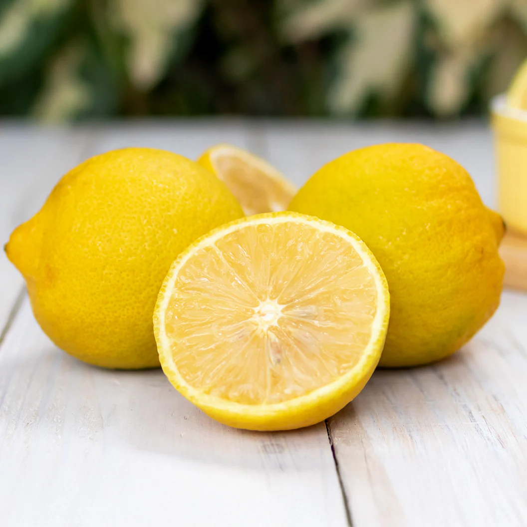 Lisbon Lemon Tree - Image 2