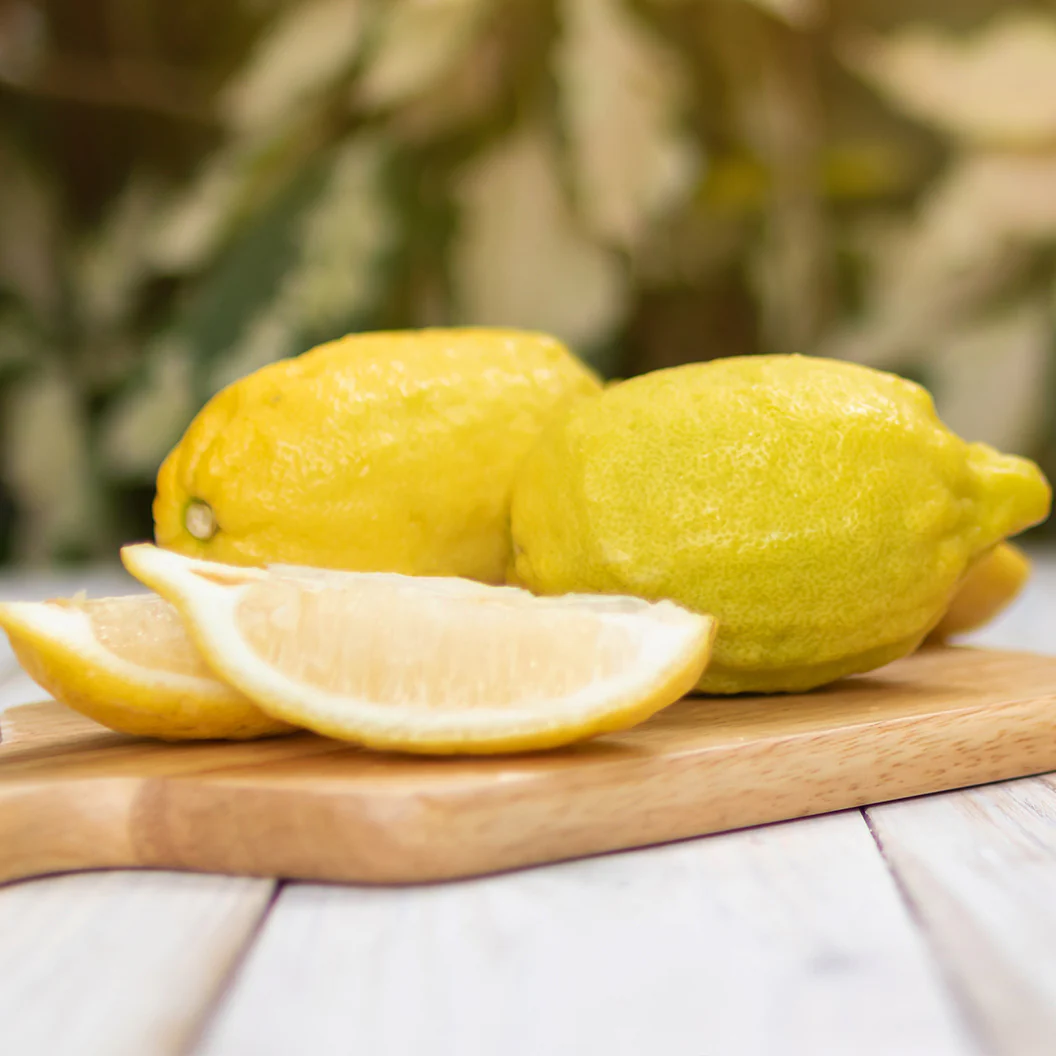 Lisbon Lemon Tree - Image 3