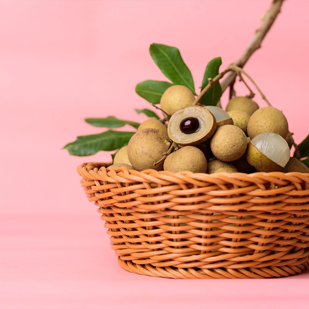 Longan Tree - Image 4