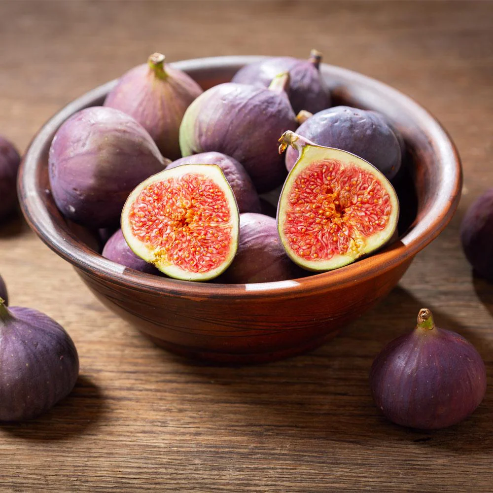 LSU Purple Fig Tree - Image 3