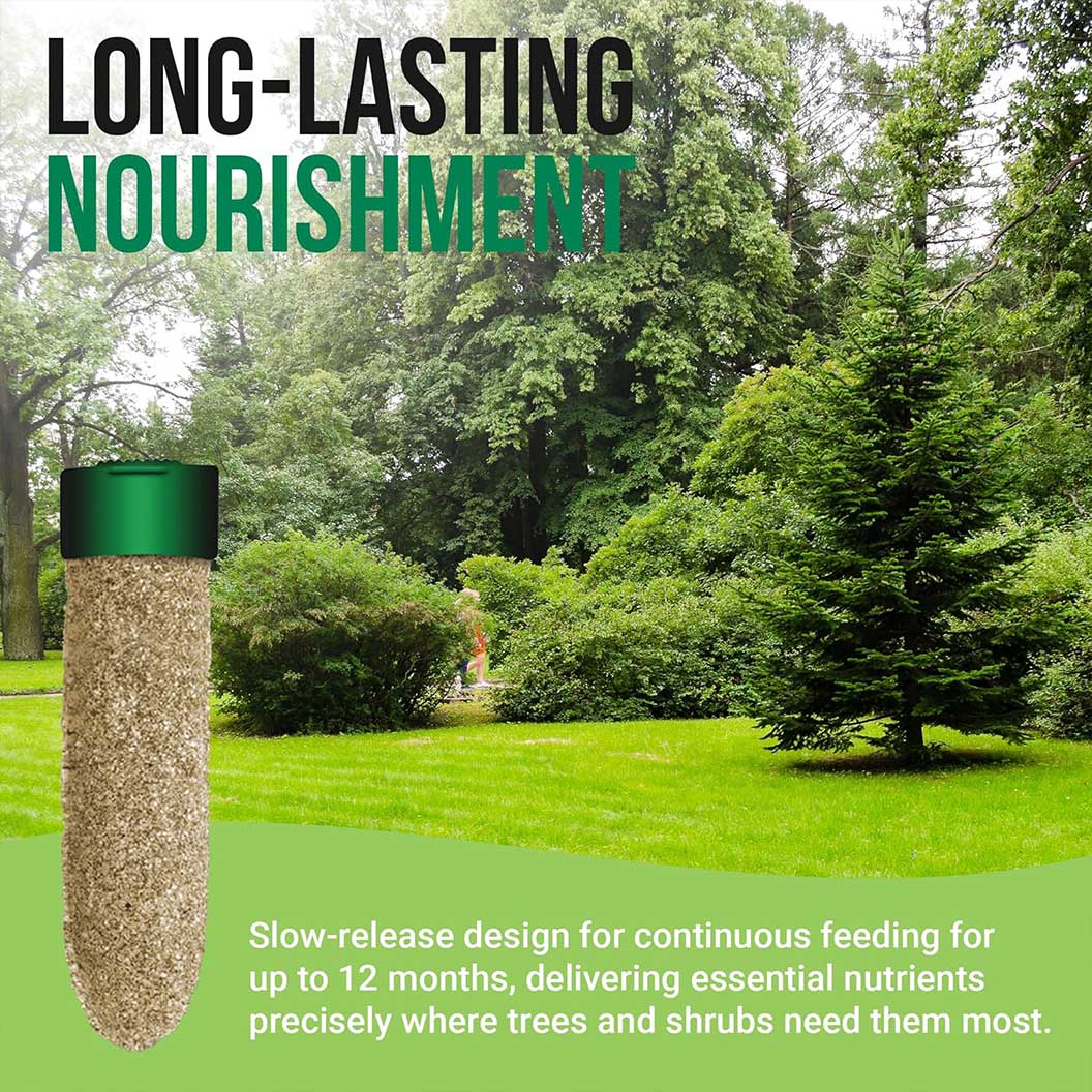 Lutz Perfect Evergreen Tree & Shrub Fertilizer Spikes - Image 4