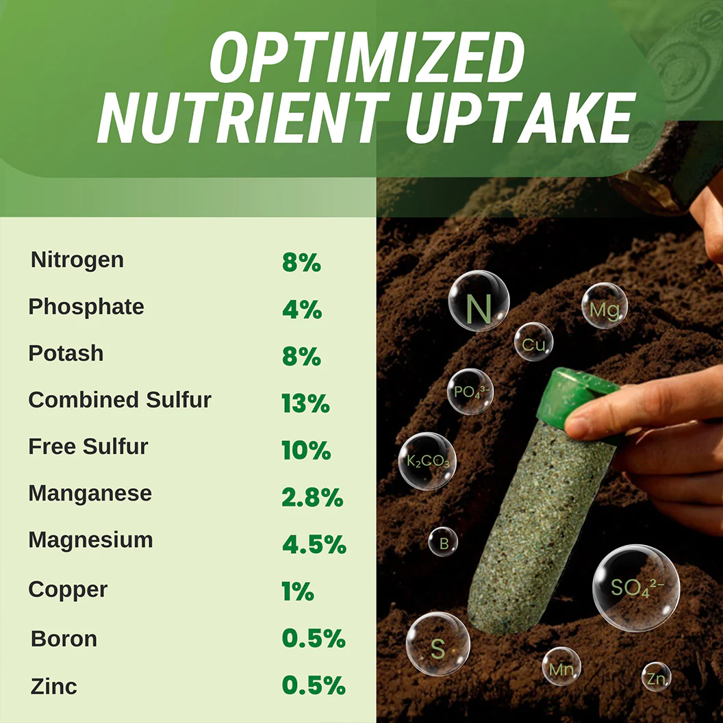 Lutz Ultra Citrus Fertilizer Spikes - Image 6